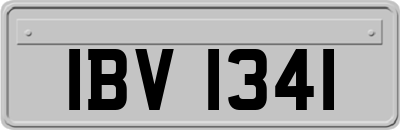 IBV1341