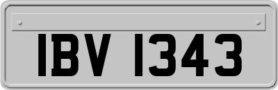IBV1343