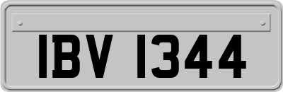 IBV1344