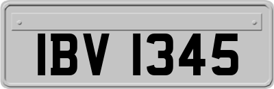 IBV1345