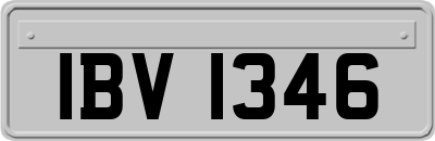 IBV1346