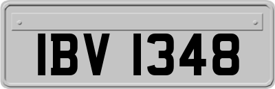 IBV1348
