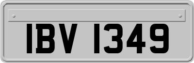 IBV1349