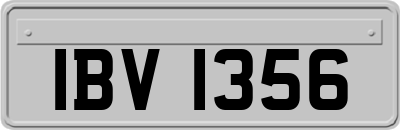 IBV1356