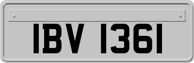 IBV1361