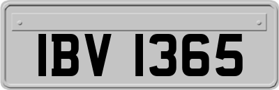 IBV1365
