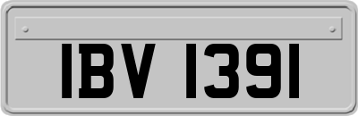 IBV1391