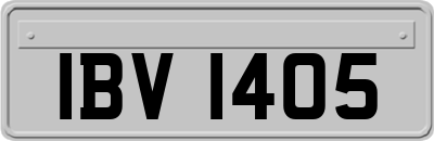 IBV1405