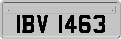 IBV1463