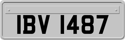 IBV1487