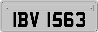 IBV1563
