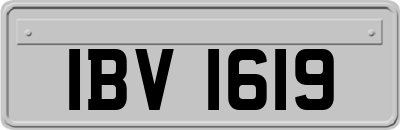 IBV1619