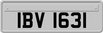 IBV1631
