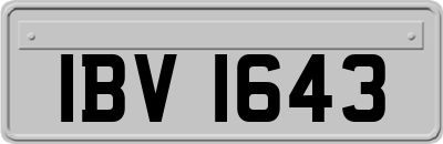 IBV1643