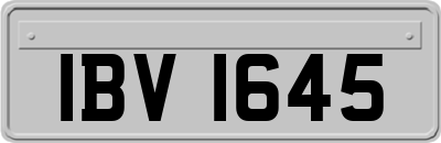 IBV1645