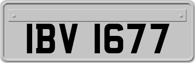 IBV1677