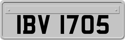 IBV1705
