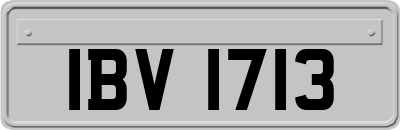 IBV1713