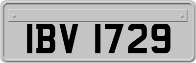 IBV1729