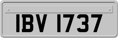 IBV1737