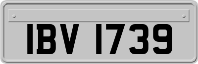 IBV1739