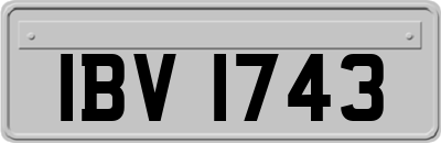 IBV1743