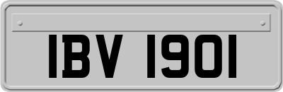 IBV1901
