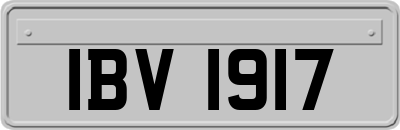 IBV1917