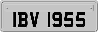 IBV1955
