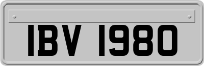 IBV1980