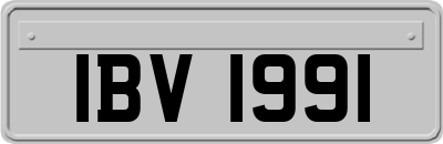 IBV1991