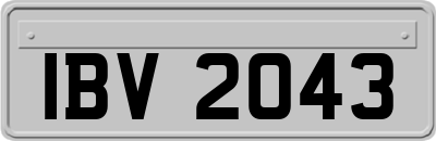 IBV2043