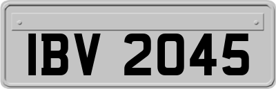 IBV2045