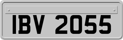 IBV2055