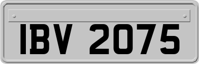 IBV2075