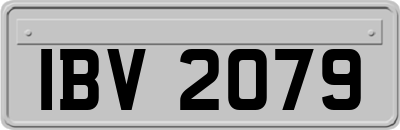IBV2079