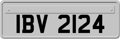 IBV2124