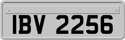 IBV2256