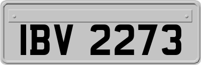 IBV2273