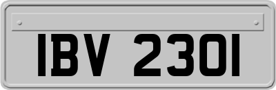 IBV2301