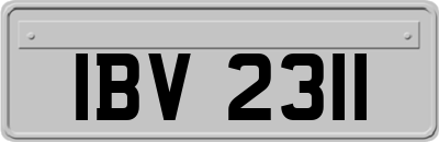IBV2311