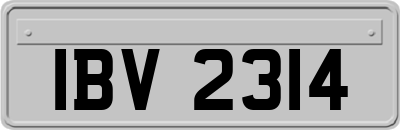 IBV2314