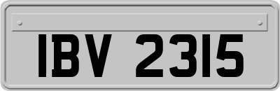 IBV2315