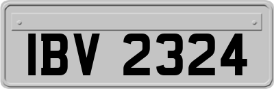 IBV2324