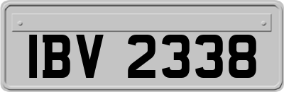 IBV2338