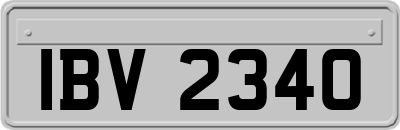IBV2340