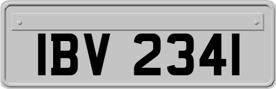 IBV2341
