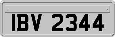 IBV2344