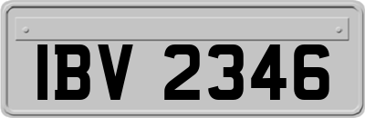 IBV2346