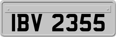 IBV2355